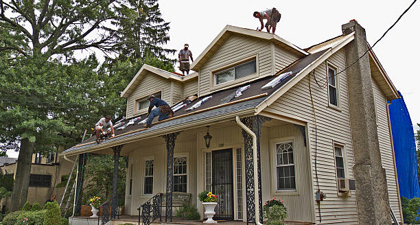 Best Roof Gutter Cleaning  in Monticello, IN